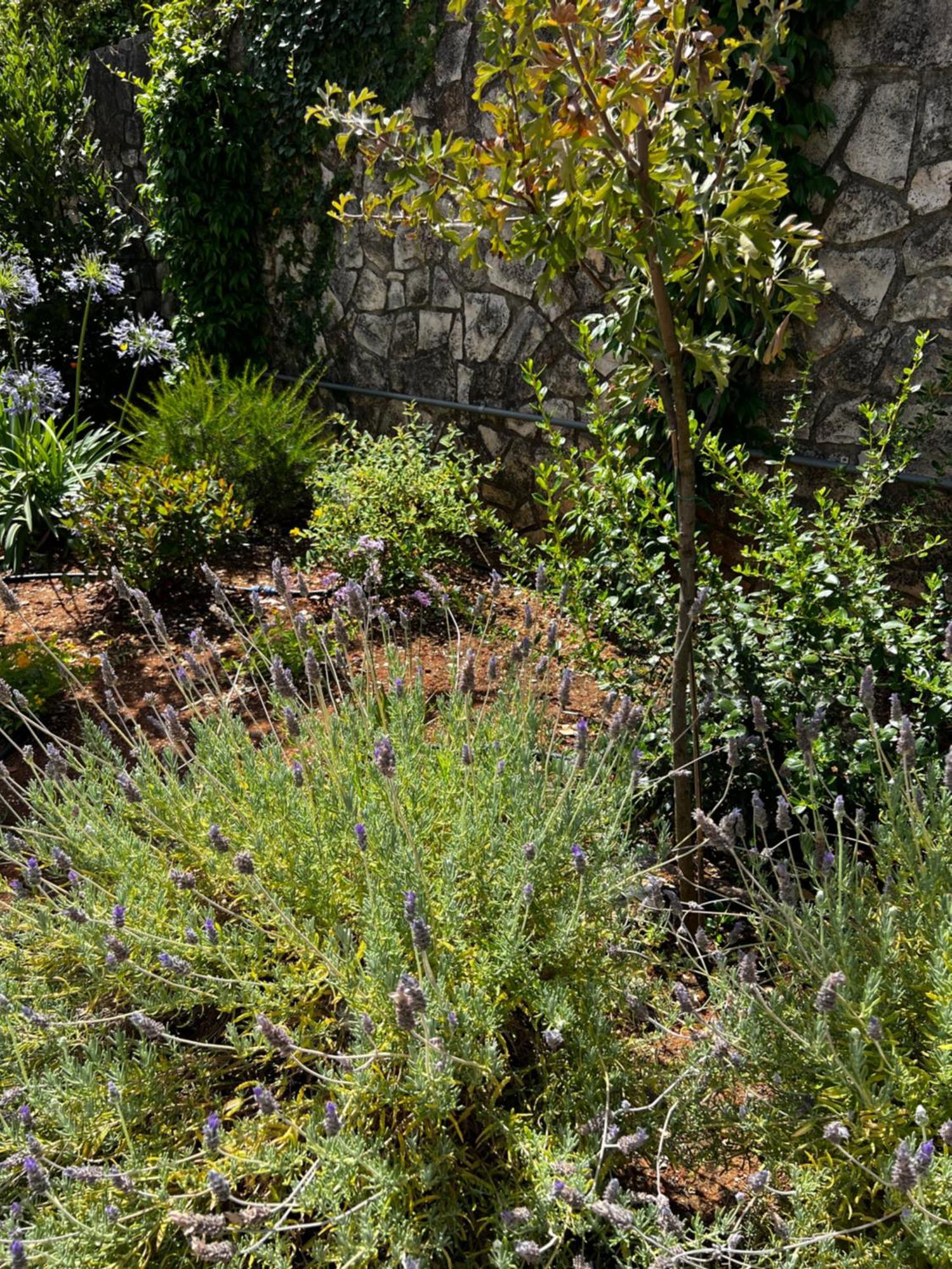 Dimora Di Bari Selva Di Fasano Exterior foto